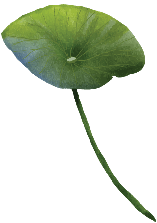 Lily Pad Small Right