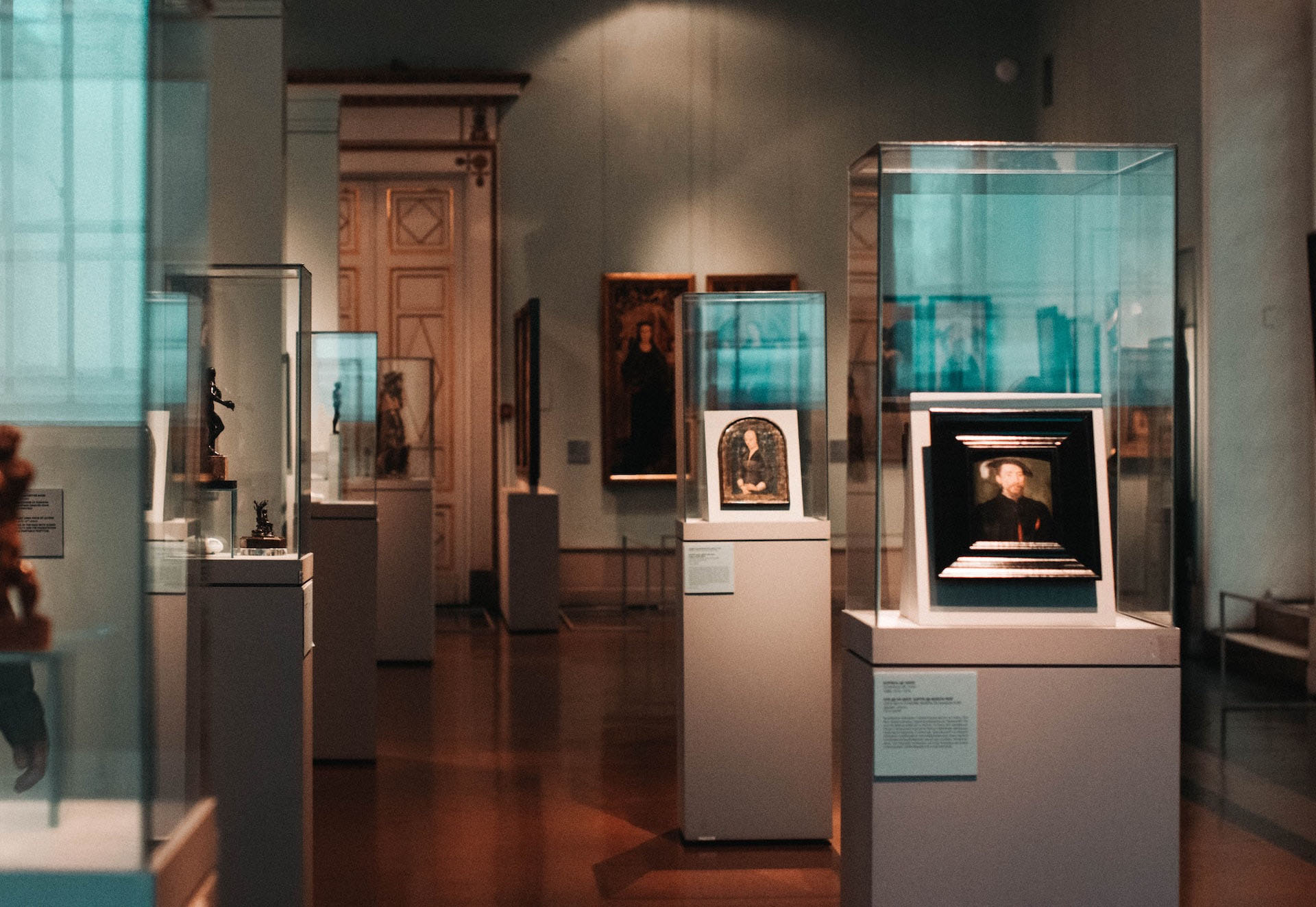 The French Species Creation